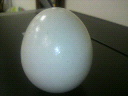 2011101418360000.jpg