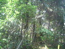 2011101813350001.jpg