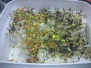 2011102012160000.jpg