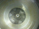 2011102016280000.jpg