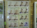 2011102511350000.jpg