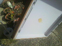 2011112013370000.jpg
