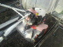 2011113008230000.jpg