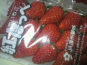 2012021120110000.jpg
