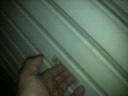 2012021419390001.jpg