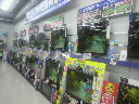 2012021511110000.jpg