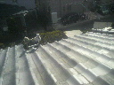 2012021813460002.jpg