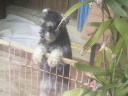2012022614400000.jpg