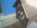 2012022614220000.jpg