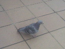 2012032510170000.jpg