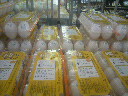 2012032815290000.jpg