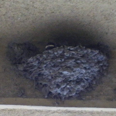 2012071219490000.jpg