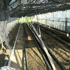 2012073107200000.jpg