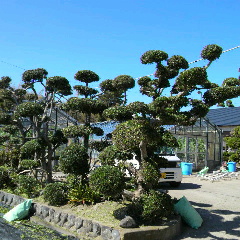 2012101012060000.jpg