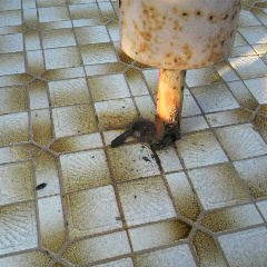 2012101616280001.jpg