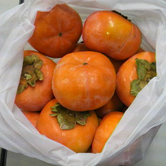 2012112912210000.jpg