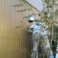 2012121115330001.jpg
