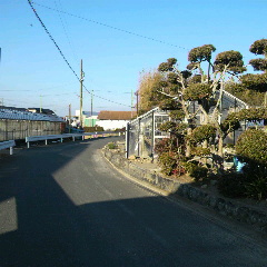 2013012008310000.jpg