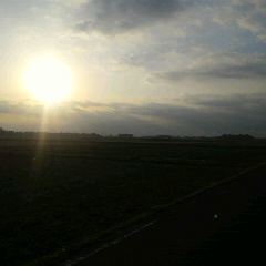 2013012107430001.jpg