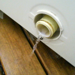 2013012511540001.jpg