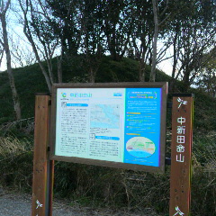 2013012616590000.jpg