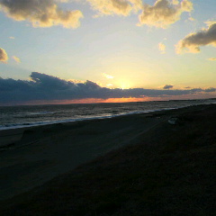 2013012619510000.jpg