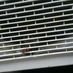 2013070412140001.jpg