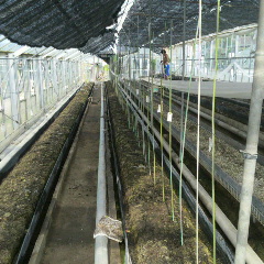 2013071308530000.jpg