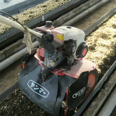 2013071407330000.jpg