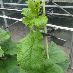 2013072408580001.jpg
