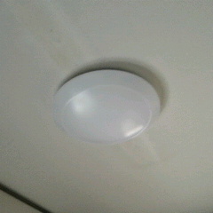 2014080916340003.jpg