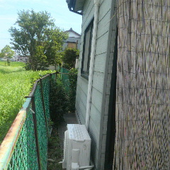 2014082111100001.jpg