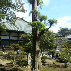 2014091311200002.jpg