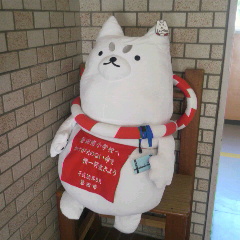 2014110711120000.jpg