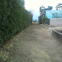 2014112611240001.jpg