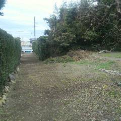 2014112611240002.jpg